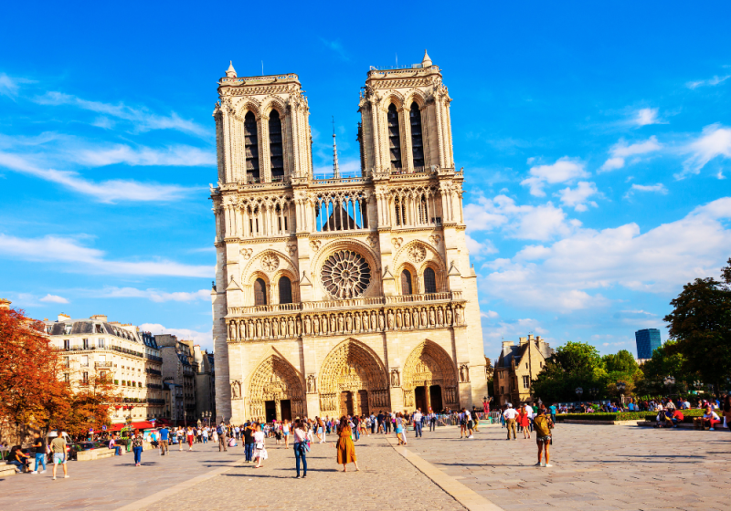 notre dame cathedral with kids