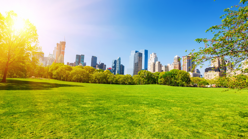 central park new york city