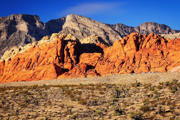 red rock canyon las vegas