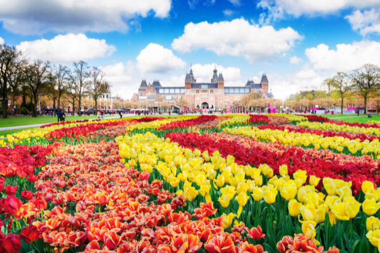 free things to do in amsterdam