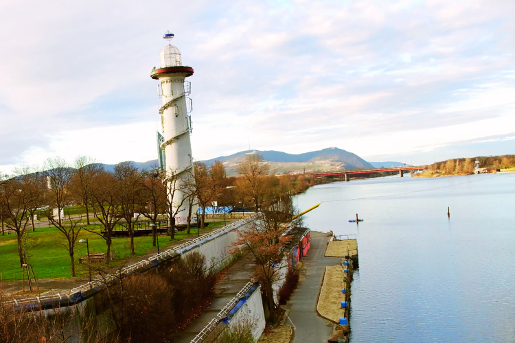 riverbank in vienna