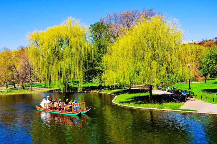 public garden boston
