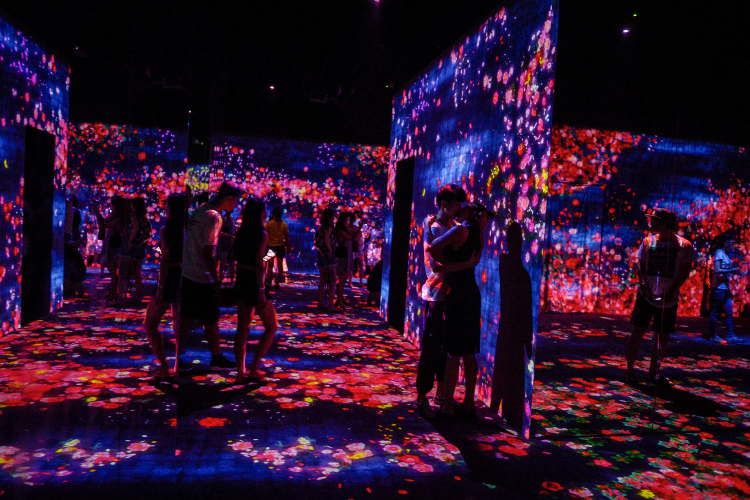 teamlab borderless museum in tokyo