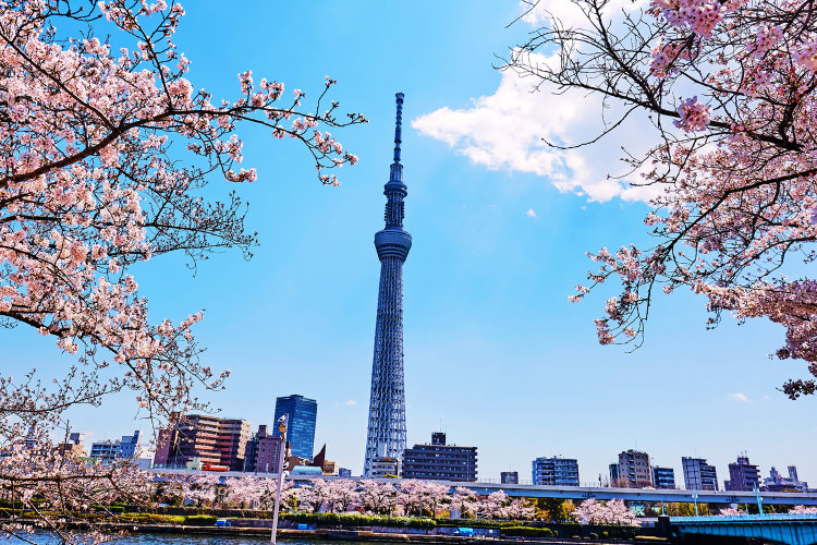 tokyo skytree