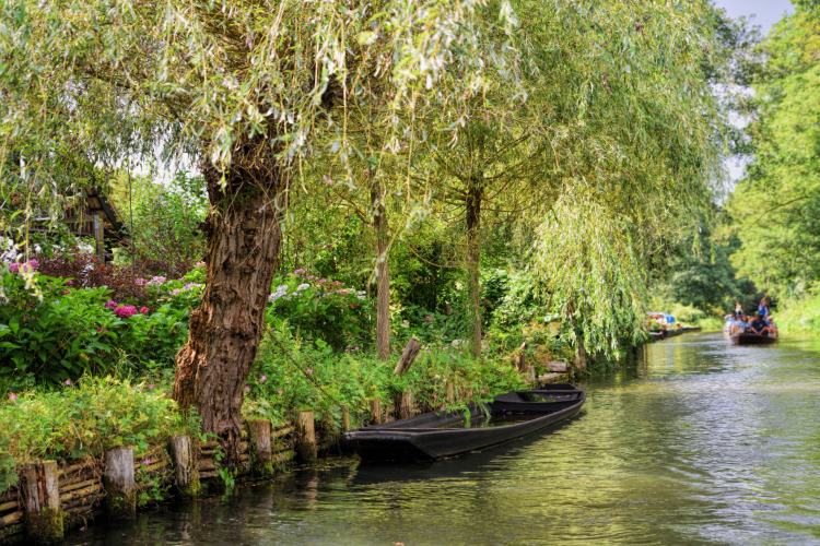 tranquil spreewald berlin