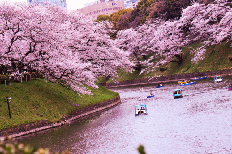 ueno park in tokyo