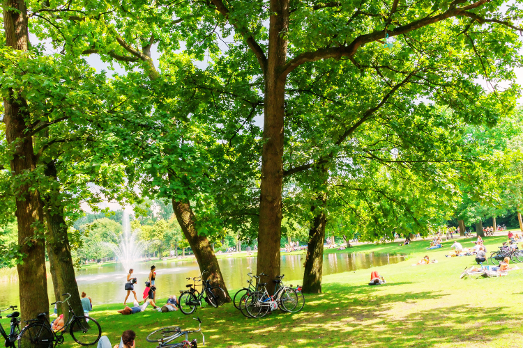 unwinding in vondelpark amsterdam