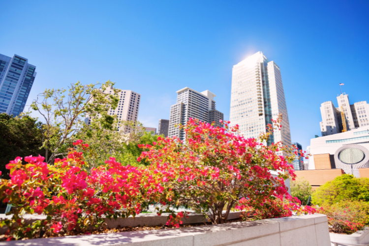 yerba buena gardens san francisco