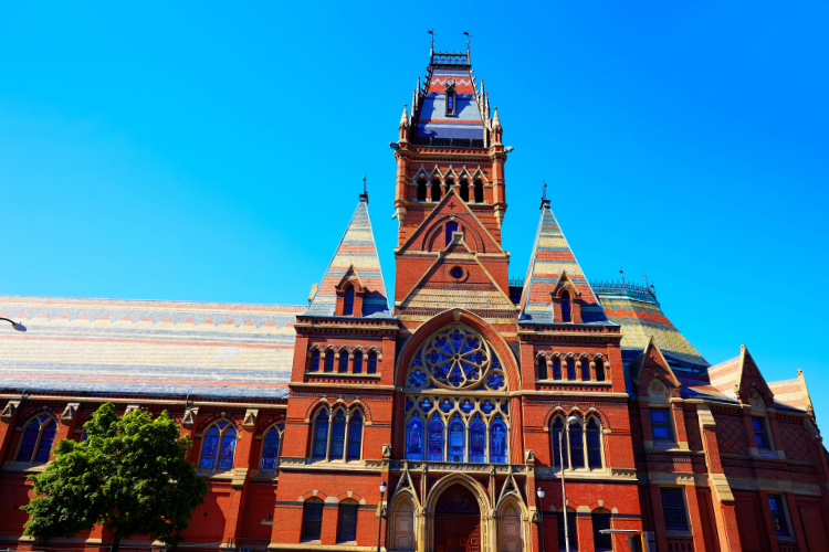 harvard university 