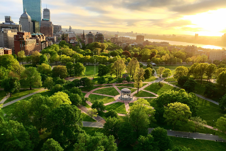 boston common