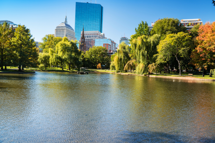 public garden 