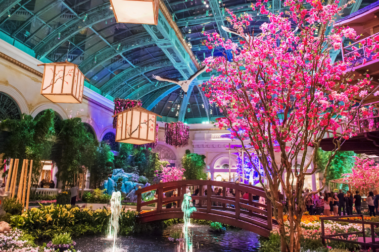 conservatory at the bellagio.